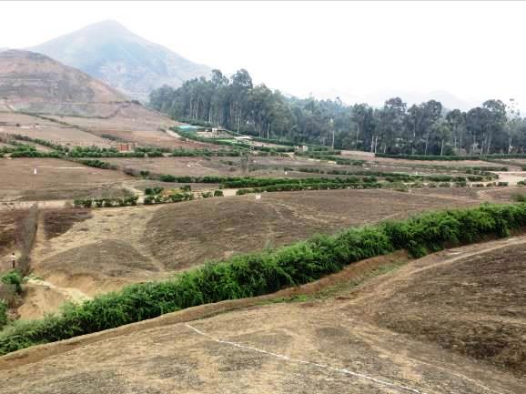 PACHACAMAC, FUNDO SAN FERNANDO, TERRENO DE 5,338m2 DENTRO DE CONDOMINIO PRIVADO