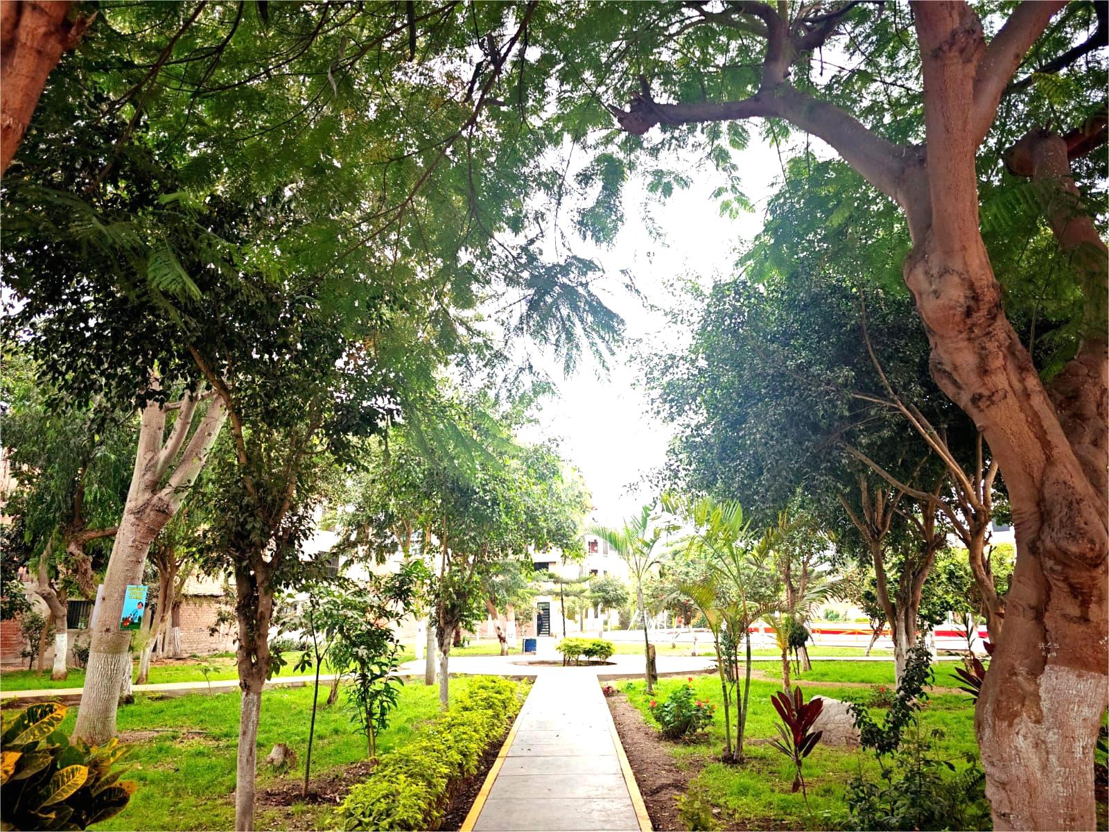 OPORTUNIDAD DE INVERSION!! CERCA MUNICIPALIDAD LOS OLIVOS, TERRENO FRENTE PARQUE